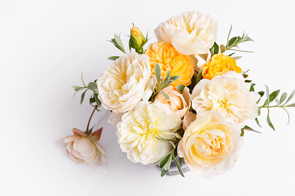 AdobeStock_236091208-edited