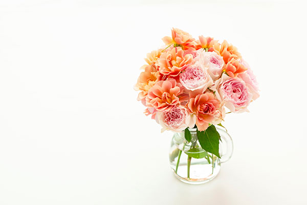 AdobeStock_315004568-edited